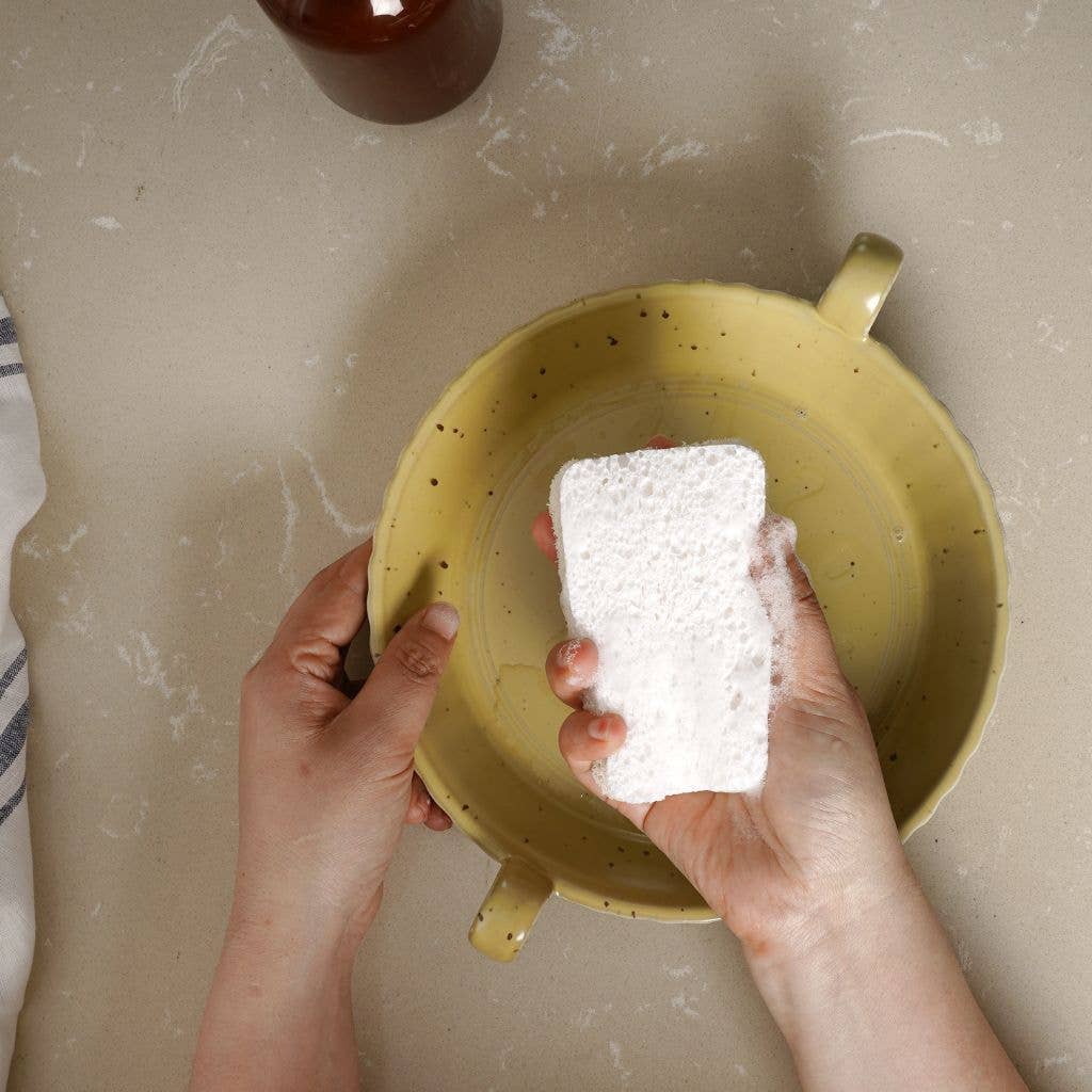Eco Dish Sponges