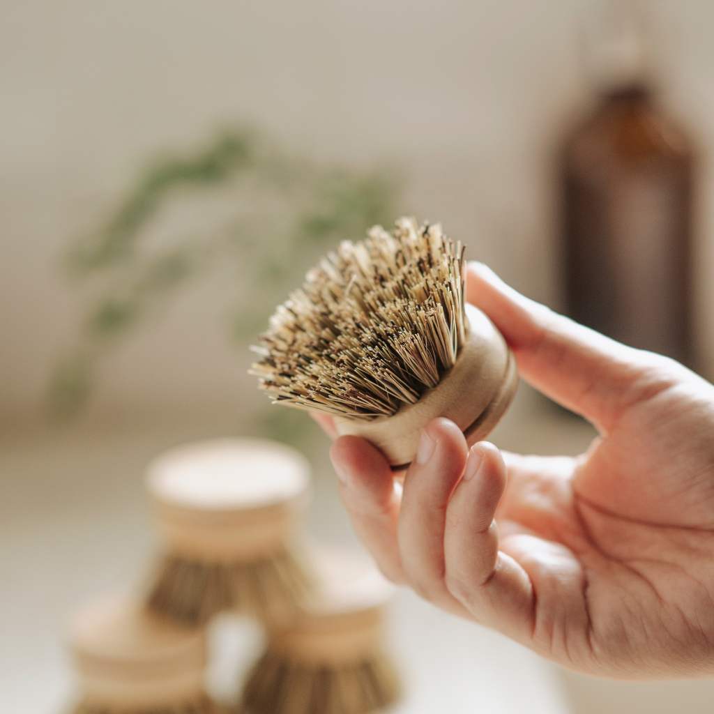 Replacement Dish Brush Heads
