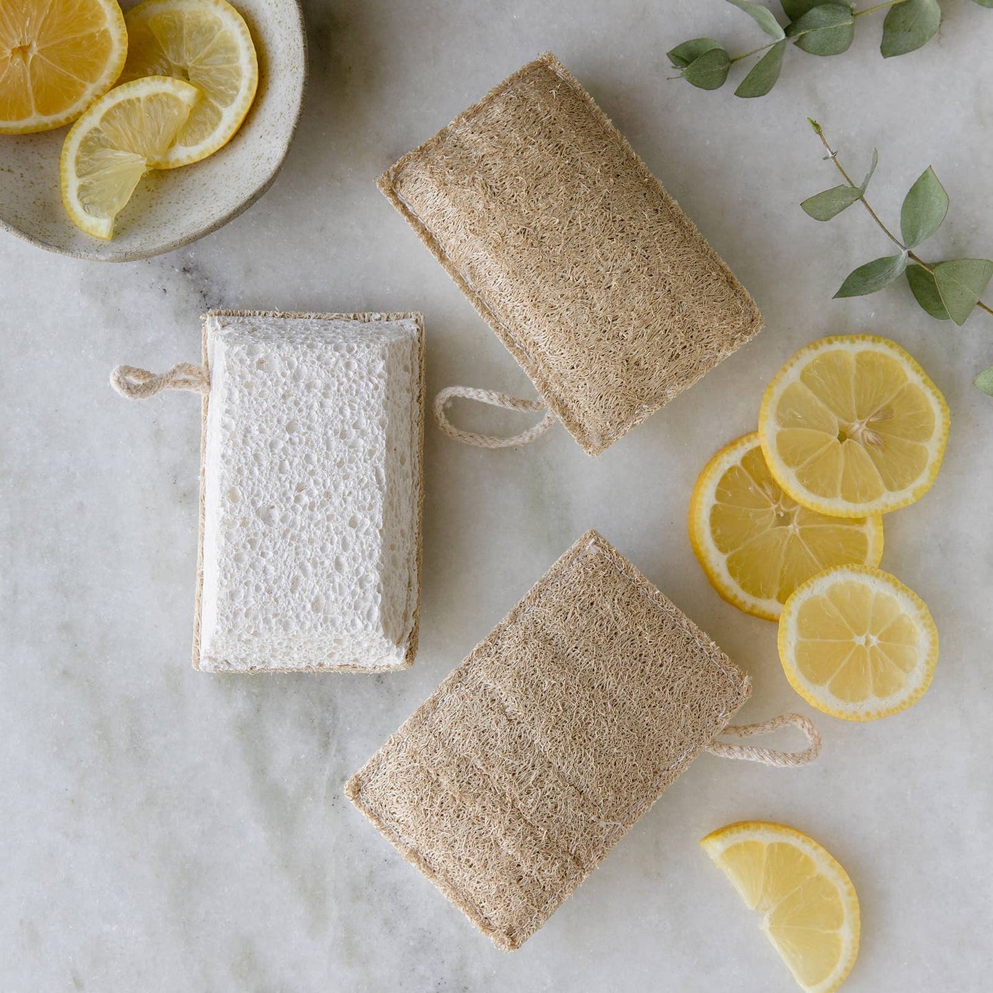 Eco Dish Sponges