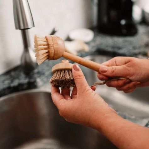 Replacement Dish Brush Heads