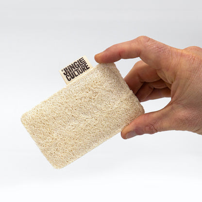Eco Dish Sponges