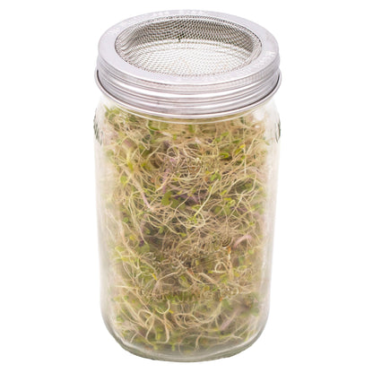 Curved Rust Proof Sprouting Lid and Band for Mason Jars