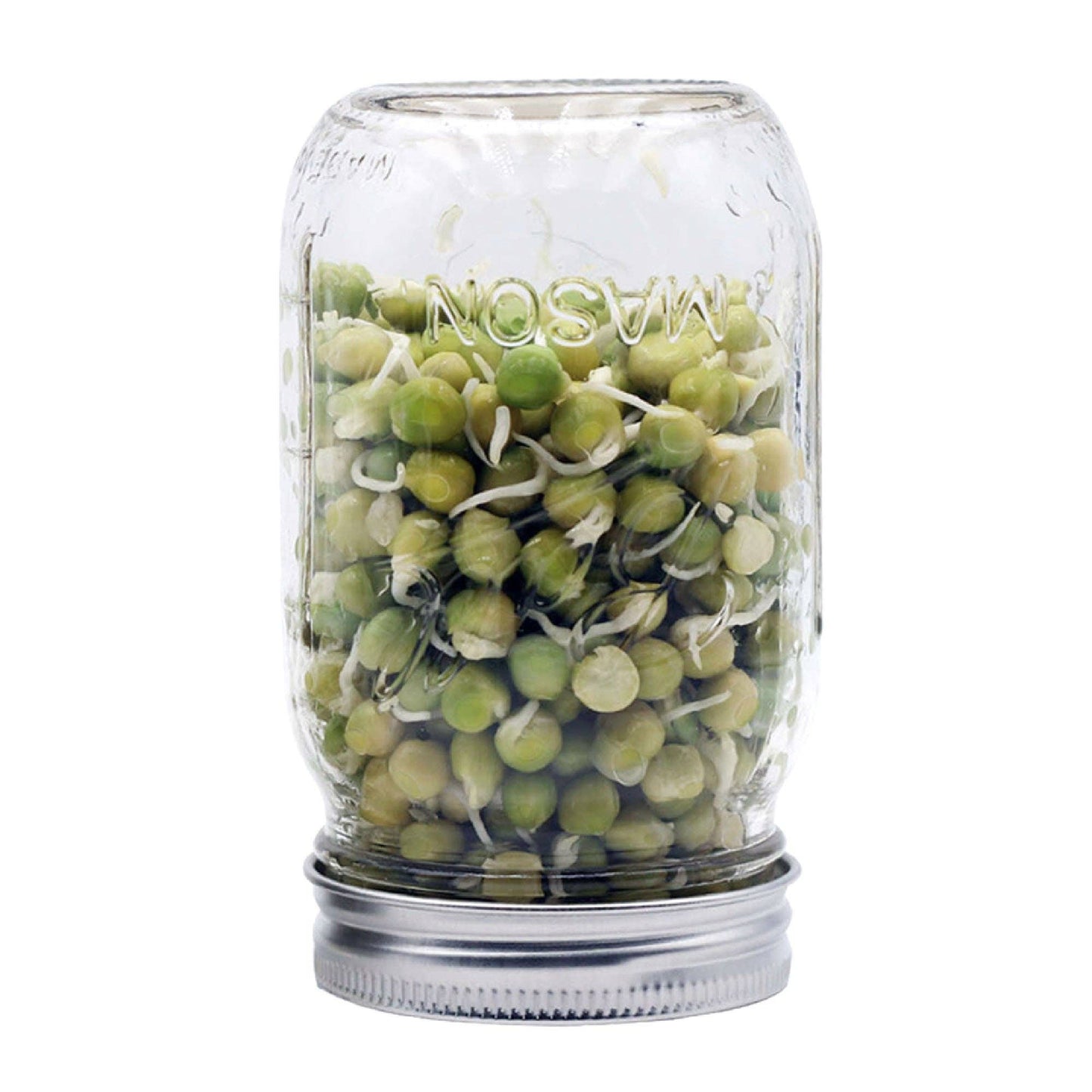 Curved Rust Proof Sprouting Lid and Band for Mason Jars