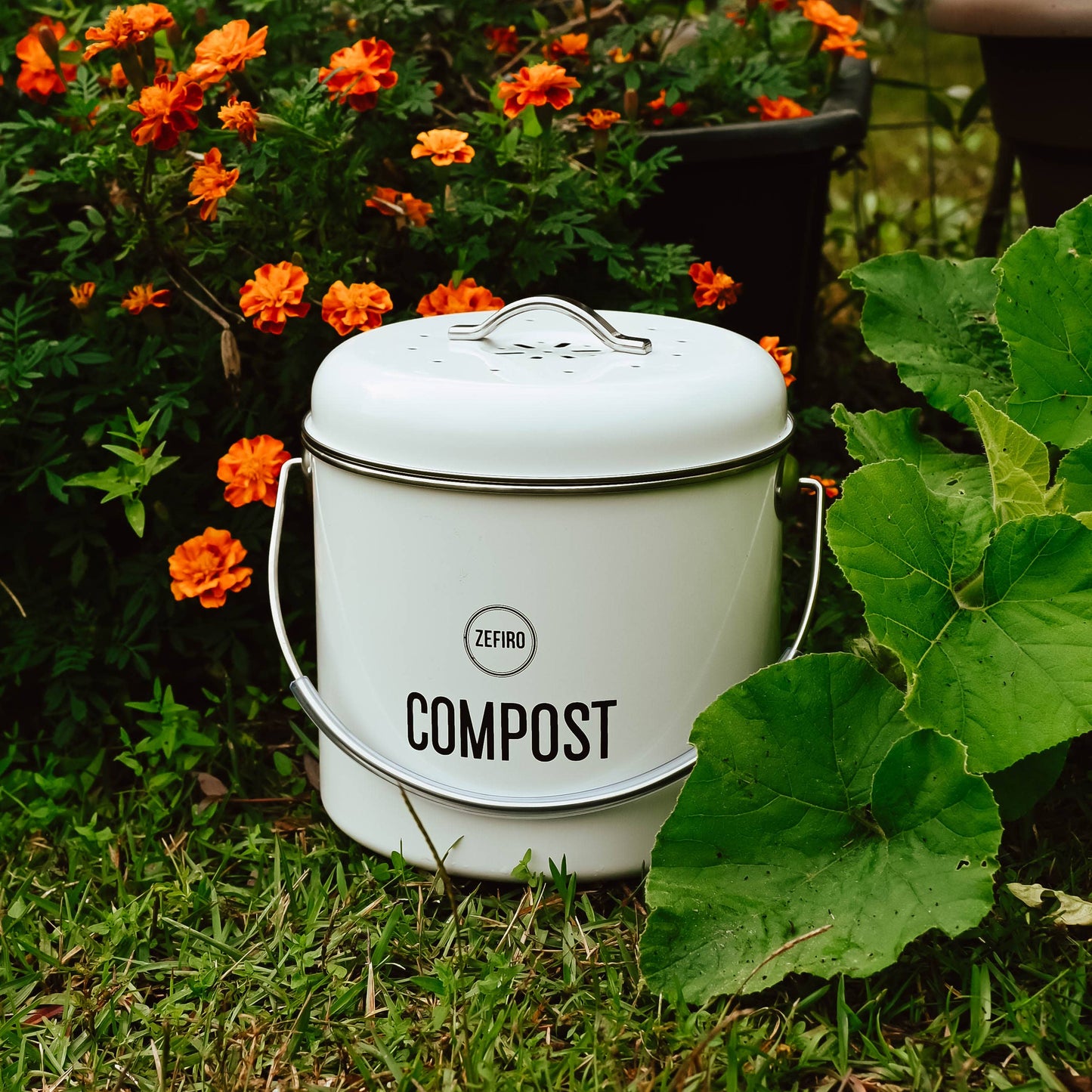 Compost Bin