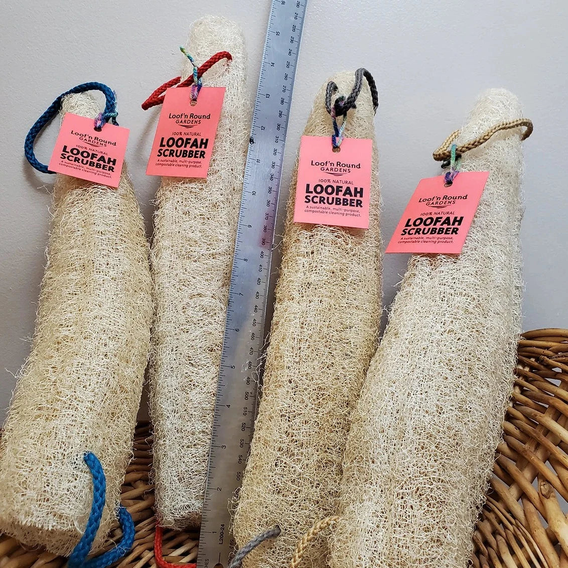 Loofah String All natural loofahs – Full Circle Refillery