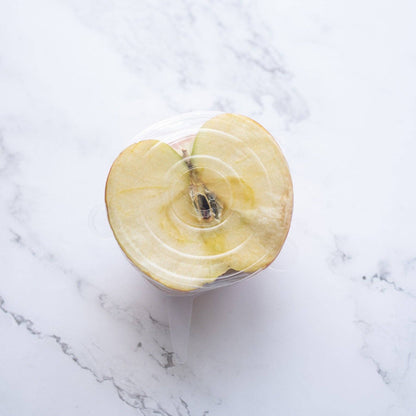 Silicone Dish Covers