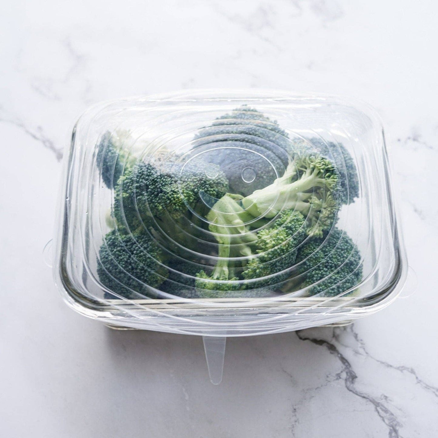 Silicone Dish Covers