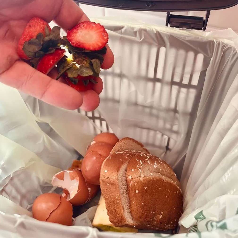 BioBag 100% Compostable 3-Gallon Food Waste Bag