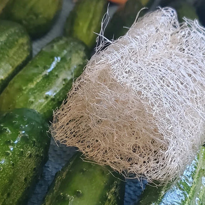 All natural loofahs