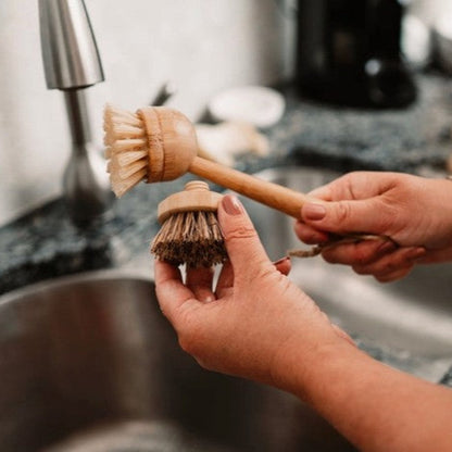 Replacement Dish Brush Heads