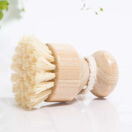 Dish & Veggie Scrub Brush